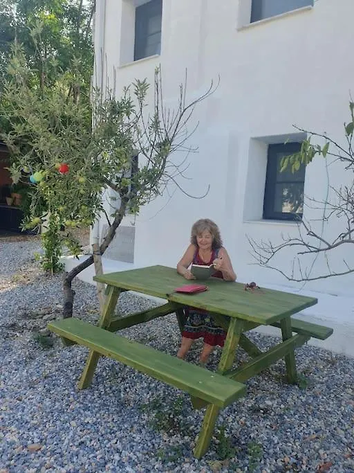 Baykus Guesthouse-Konukevi Soke 0*,